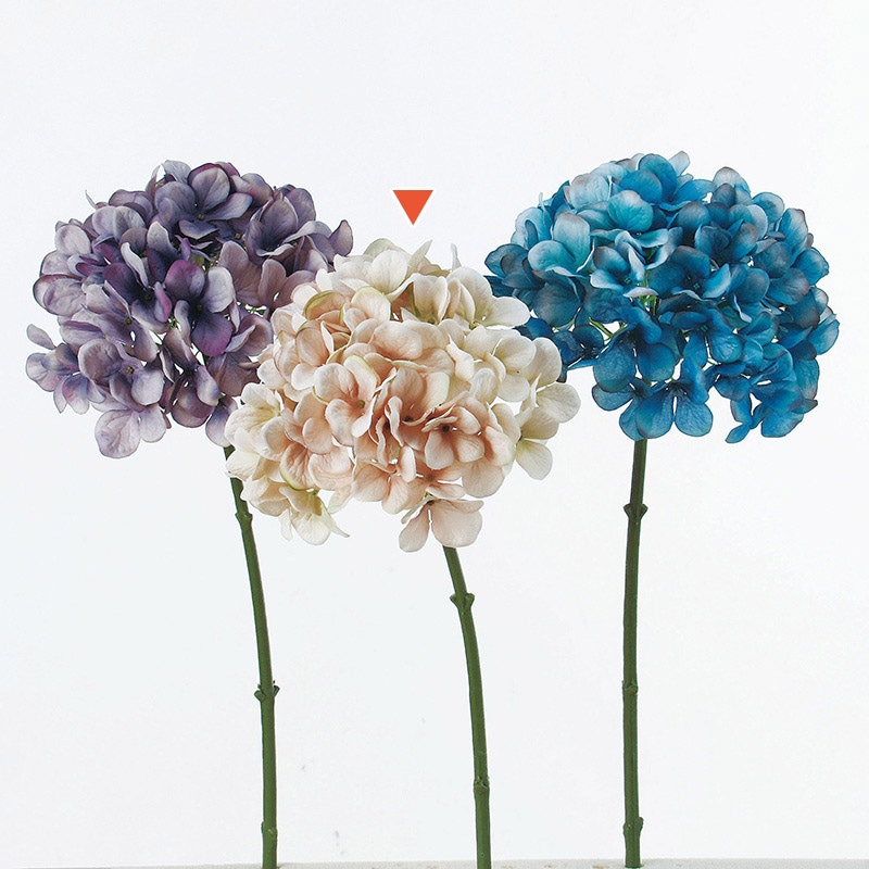 ソフトベージュ