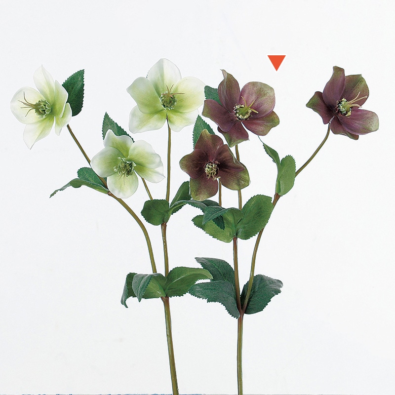 アスカ商会 造花 A-32548　クリスマスローズ×3 #055G　モ-ブグリ-ン 1本（ご注文単位1本）【直送品】