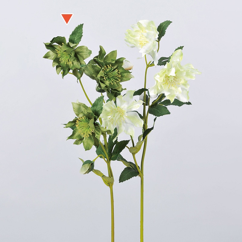 アスカ商会 造花 A-32556クリスマスローズ #051A　グリ-ン 1本（ご注文単位1本）【直送品】