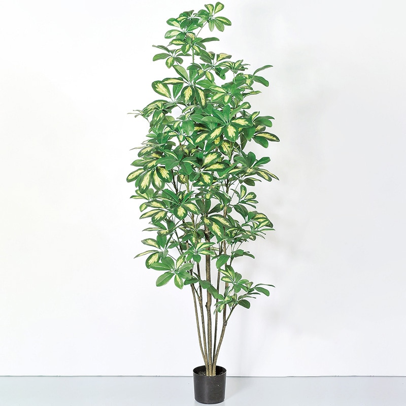 アスカ商会 造花・観葉植物 A-50860　シェフレラ #053A　クリームグリーン　ポット付 1本（ご注文単位1本）【直送品】