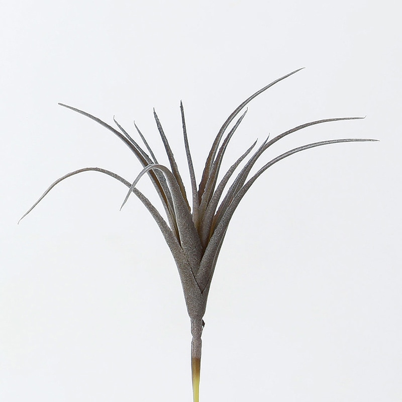アスカ商会 造花・グリーン A-41923　ティランドシア #063F　フロストグレイ 1本（ご注文単位1本）【直送品】