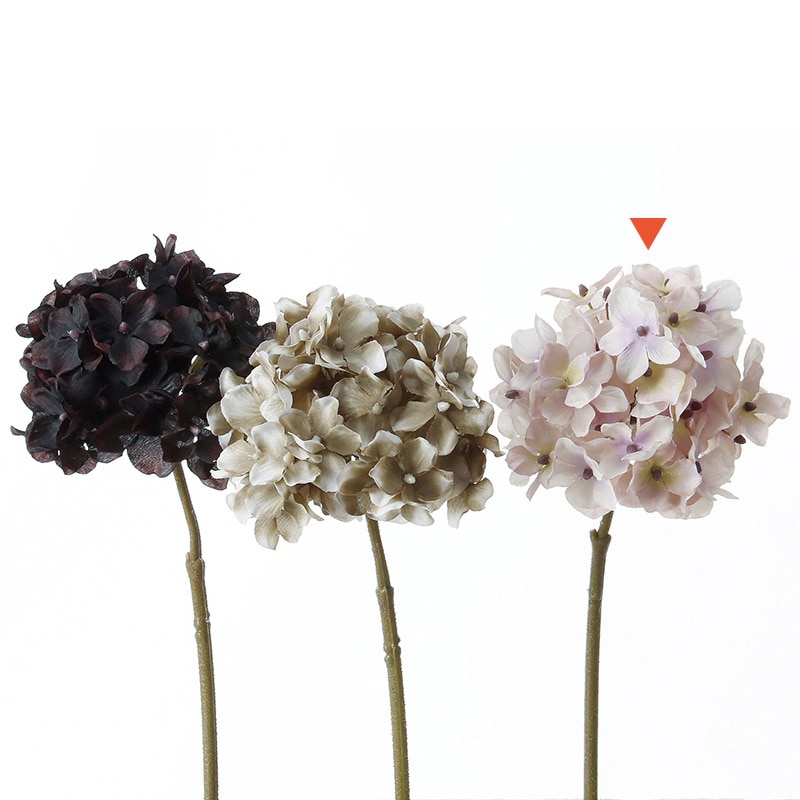 グレイパープル