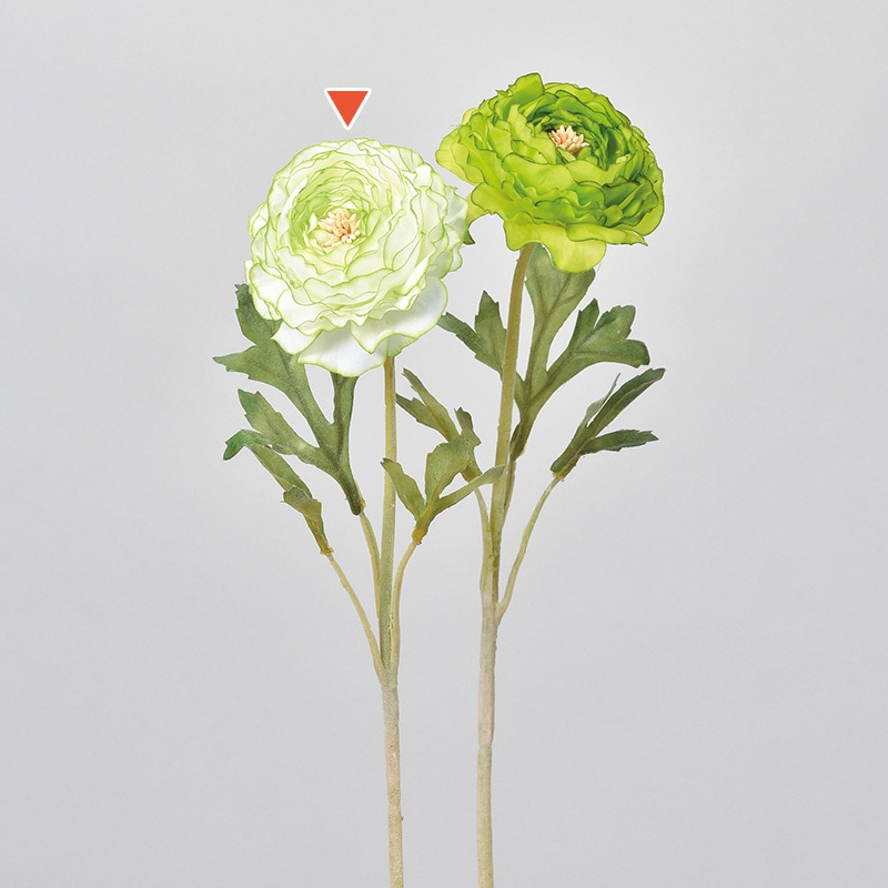 ホワイトグリーン