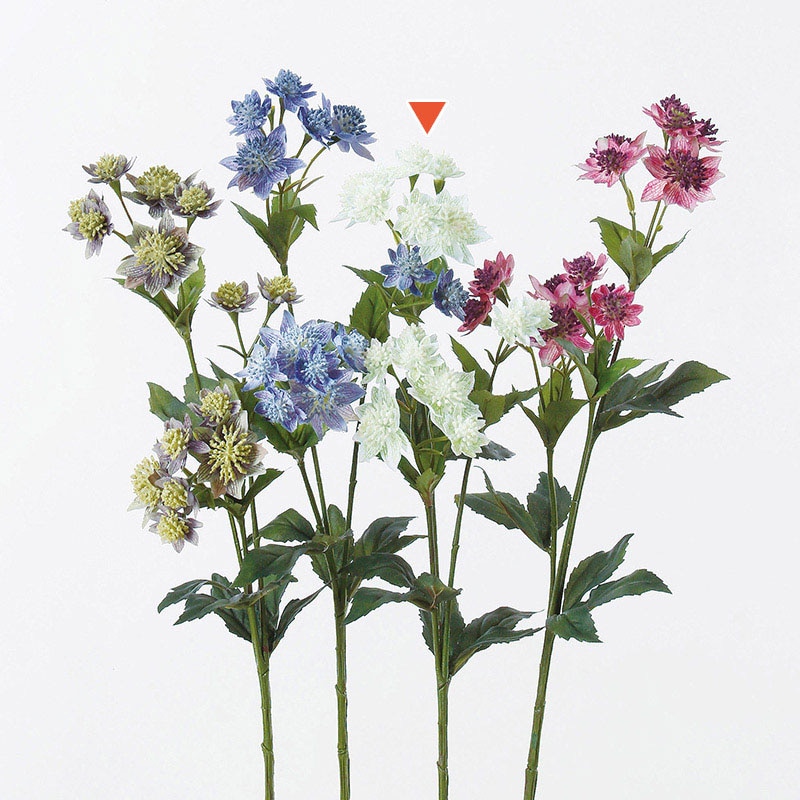 アスカ商会 造花 A-32677　アストランティア×14 #052　ホワイトグリ-ン 1本（ご注文単位1本）【直送品】