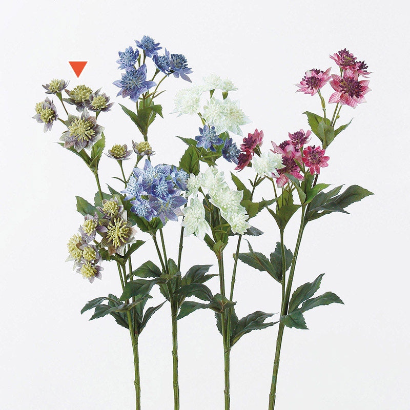 アスカ商会 造花 A-32677　アストランティア×14 #007　パ-プル 1本（ご注文単位1本）【直送品】