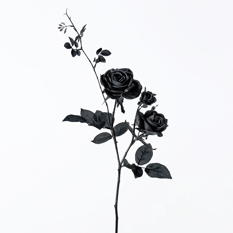 アスカ商会 造花 A-39603 ハミルトンローズ×3 #100 ブラック 1本(ご注文単位1本)【直送品】