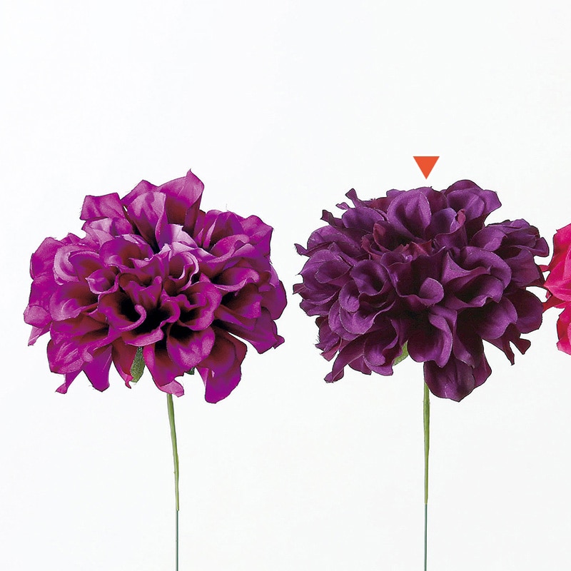 ダークパープル