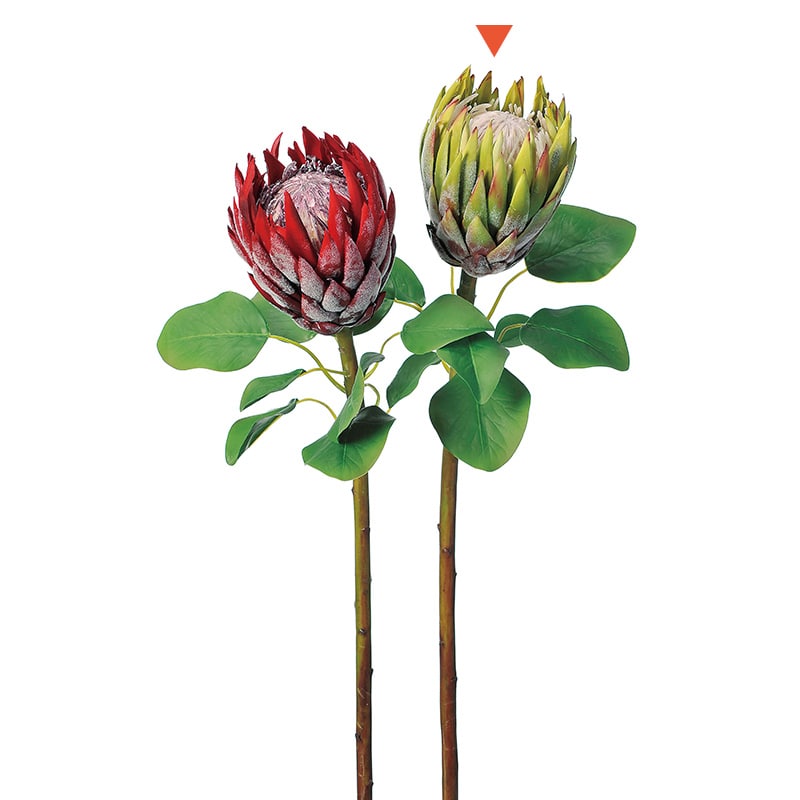 アスカ商会 造花 A-32746　プロテア #051A　グリ-ン 1本（ご注文単位1本）【直送品】