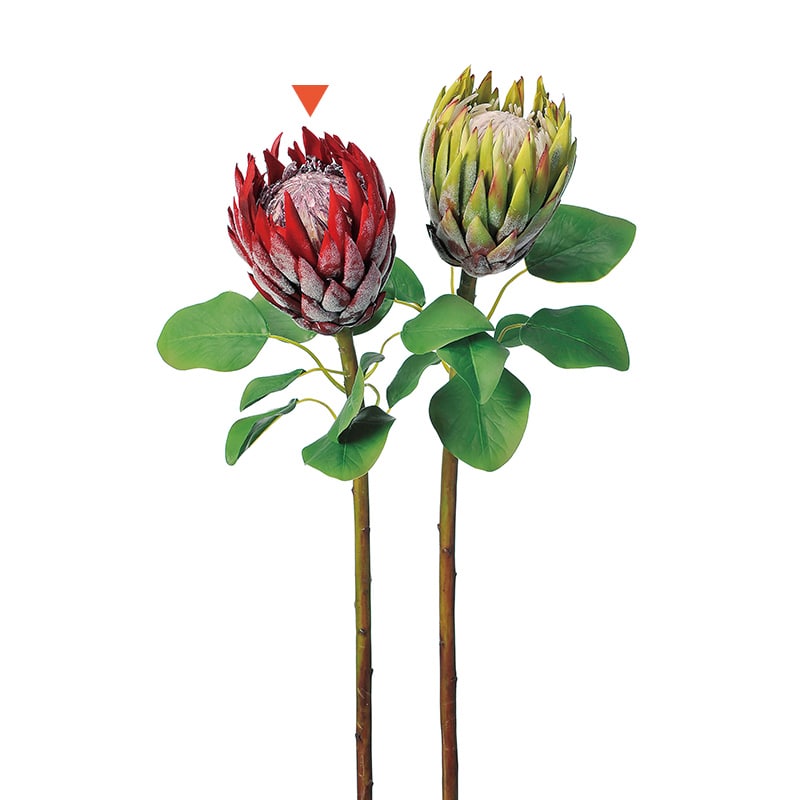 アスカ商会 造花 A-32746　プロテア #002　レッド 1本（ご注文単位1本）【直送品】