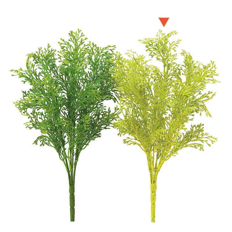 アスカ商会 造花・グリーン A-42163　コーラルファーンブッシュ #053A　クリームグリーン 1本（ご注文単位1本）【直送品】