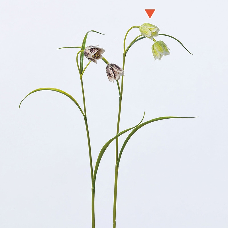 アスカ商会 造花 A-32786　フリチラリア×2 #053A　クリームグリーン 1本（ご注文単位1本）【直送品】