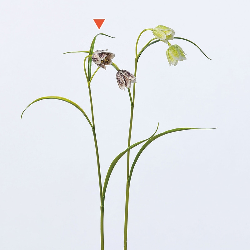 アスカ商会 造花 A-32786　フリチラリア×2 #028　ブラウン 1本（ご注文単位1本）【直送品】