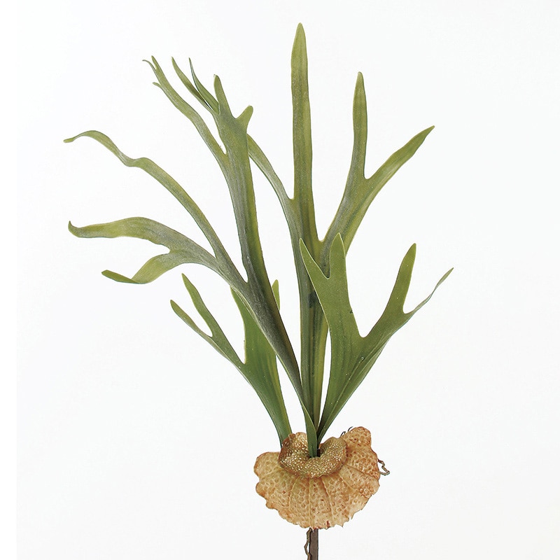 アスカ商会 造花・グリーン A-42254　スタッグホーン #051F　フロストグリ-ン 1本（ご注文単位1本）【直送品】