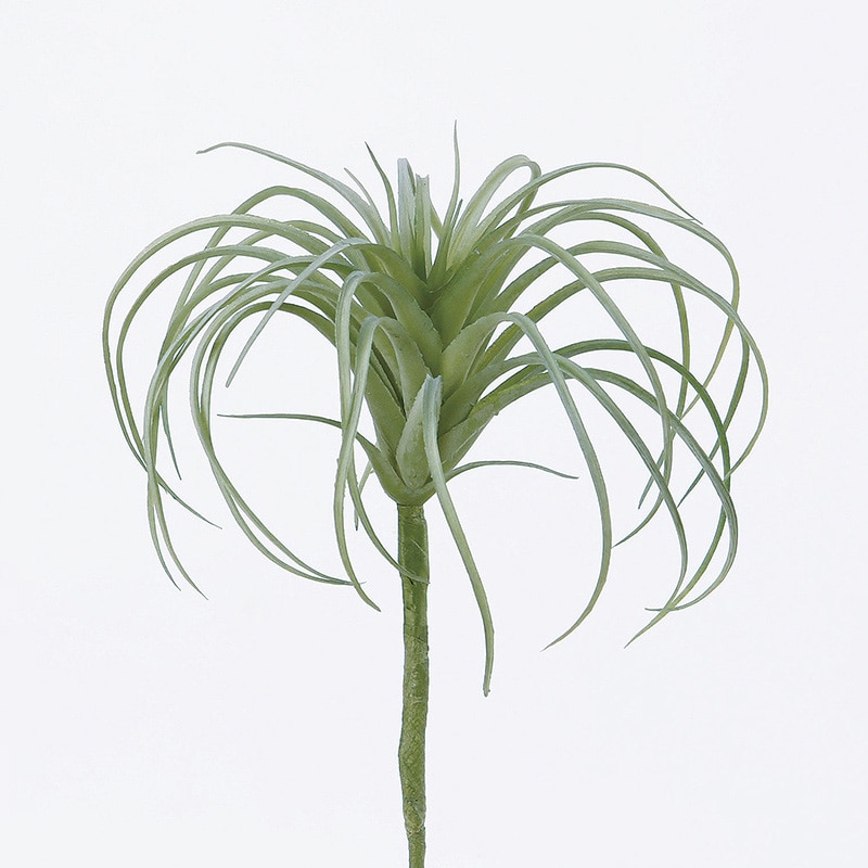 アスカ商会 造花・グリーン A-42249　エアプランツ #051F　フロストグリ-ン 1本（ご注文単位1本）【直送品】