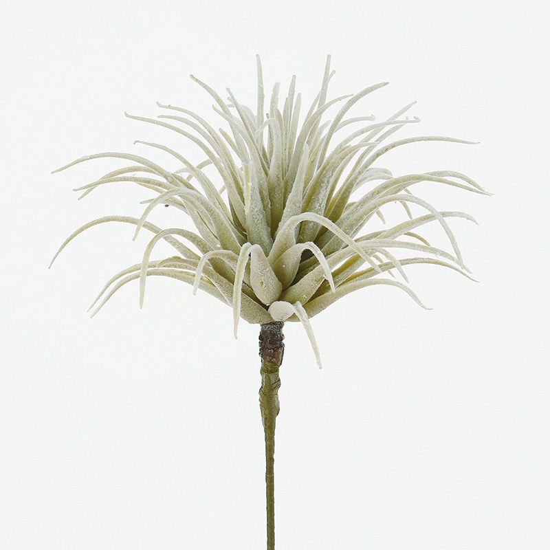 アスカ商会 造花・グリーン A-42276　ティランドシア #063F 1本（ご注文単位1本）【直送品】