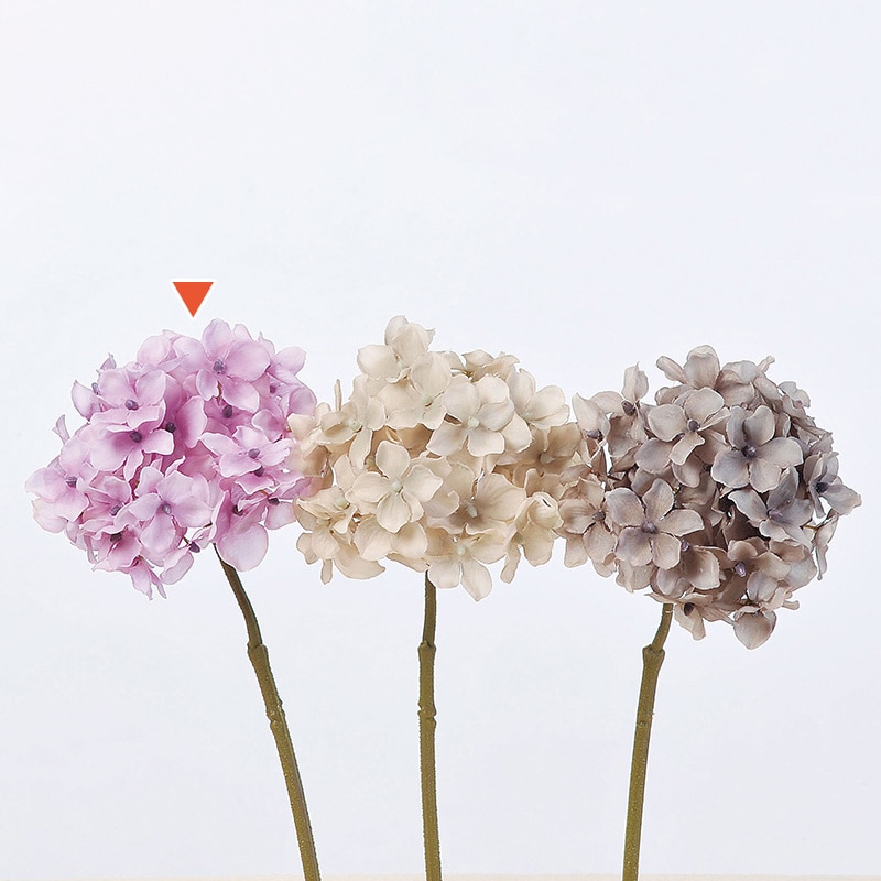 ダステイラベンダー