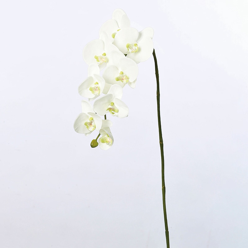 アスカ商会 造花 A-33007コチョウラン #001　ホワイト 1本（ご注文単位1本）【直送品】