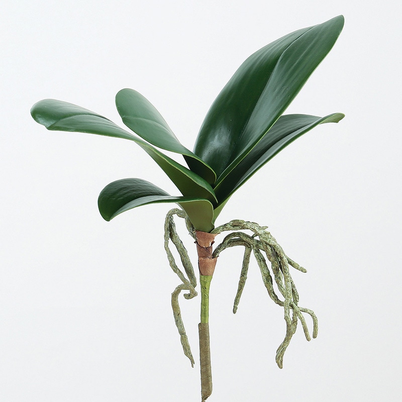 アスカ商会 造花・グリーン A-42566　オーキッドリーフ #051A　グリ-ン 1本（ご注文単位1本）【直送品】