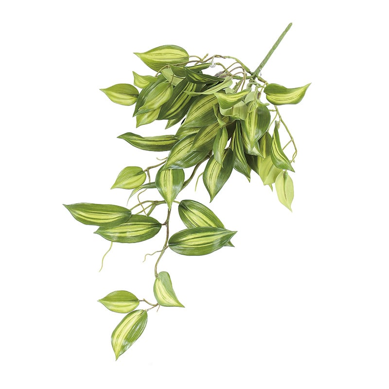 アスカ商会 造花・グリーン A-42493オーキッドリーフHB #053A　クリームグリーン 1本（ご注文単位1本）【直送品】