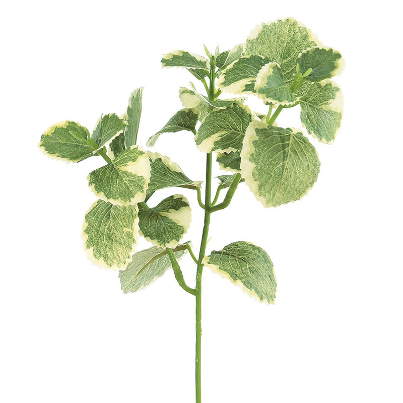 アスカ商会 造花・グリーン A-42586 オレガノ #053A クリームグリーン 1本(ご注文単位1本)【直送品】