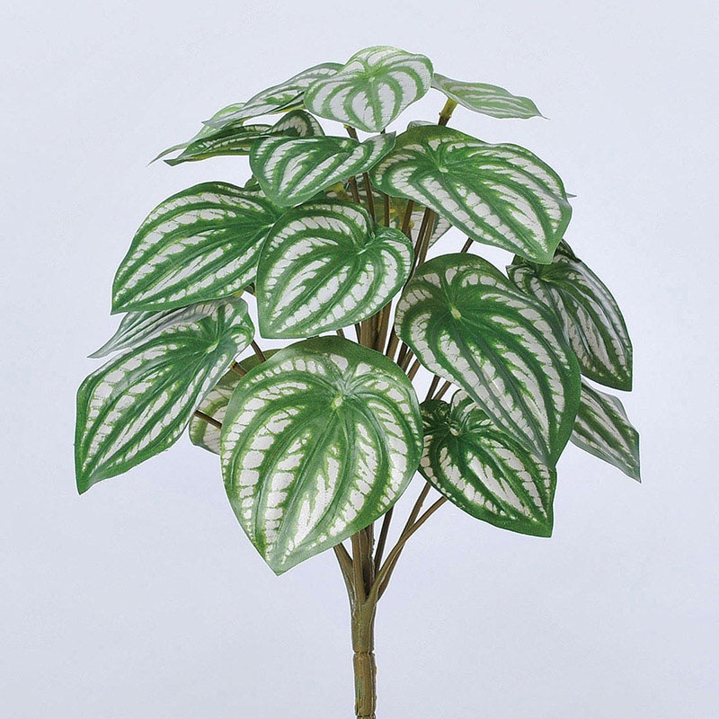 アスカ商会 造花・グリーン A-42902 スイカペペ #051V ウ゛ァリゲイトグリ-ン 1本(ご注文単位1本)【直送品】