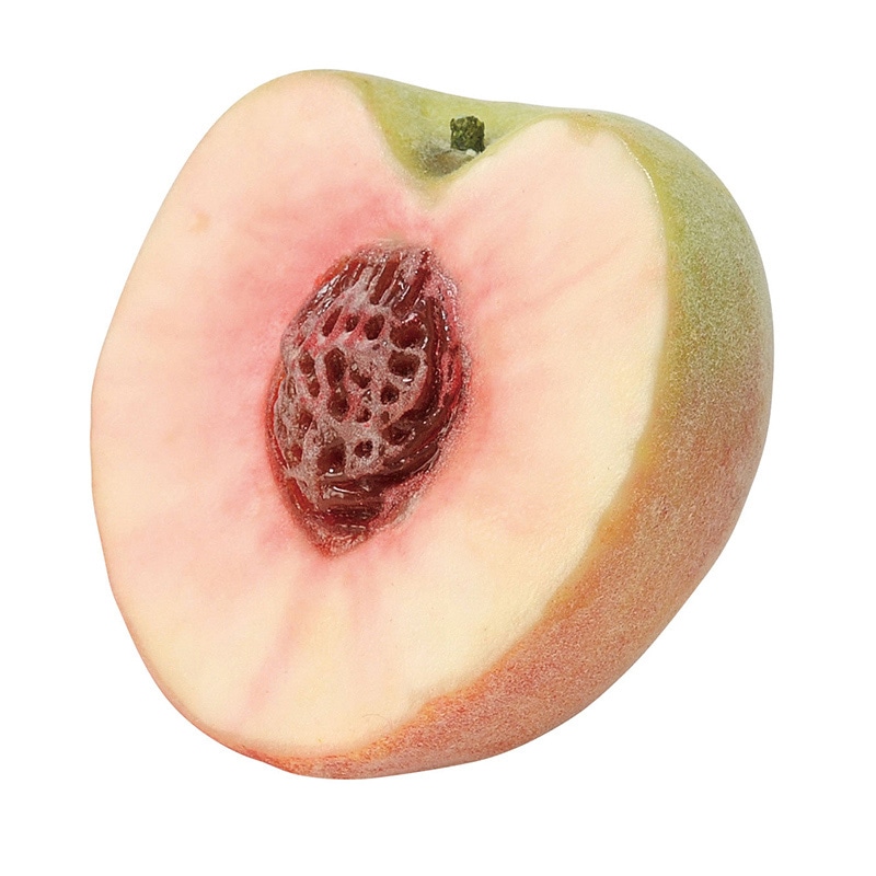 アスカ商会 ディスプレイ用フルーツ A-20434　カットピーチ #004　ピ-チ 1個（ご注文単位1個）【直送品】