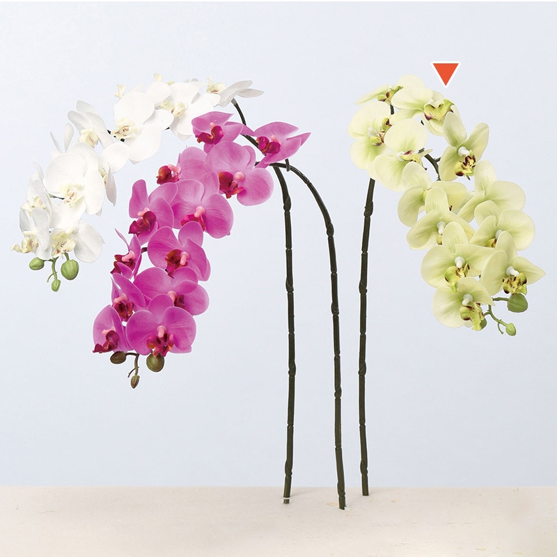 アスカ商会 造花 A-33330コチョウラン #053A　クリームグリーン 1本（ご注文単位1本）【直送品】