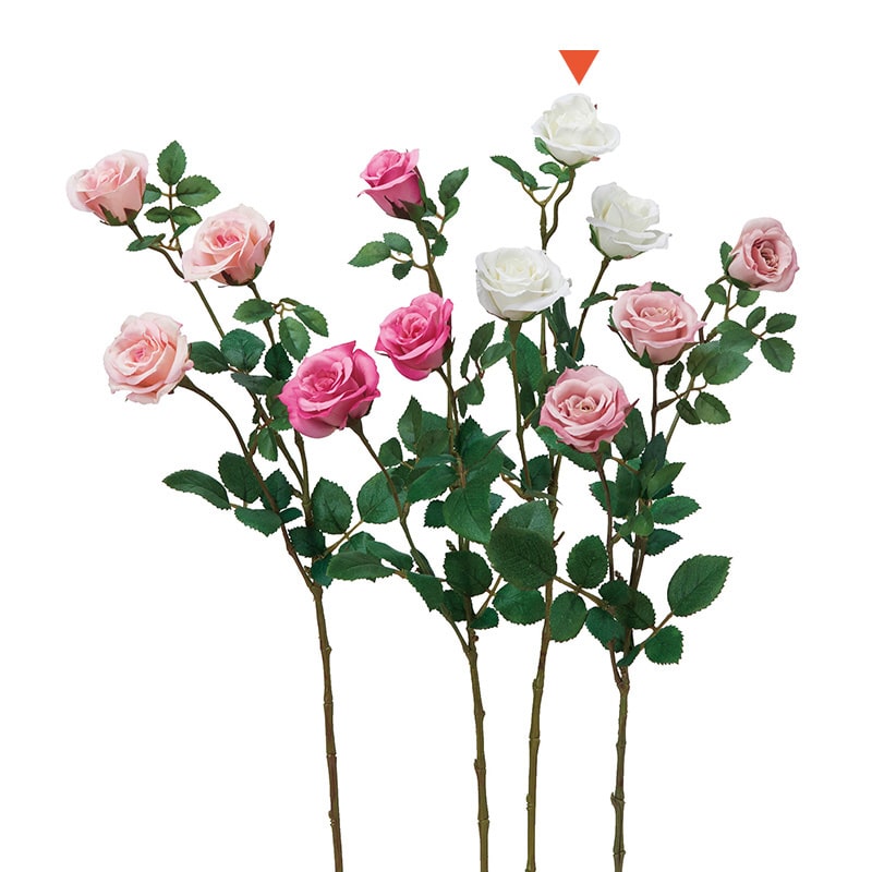 クリームホワイト