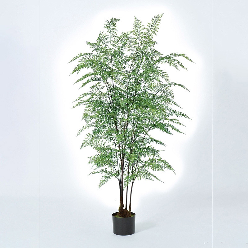 アスカ商会 造花・観葉植物 A-50931　ファーン #051A　グリ-ン　ポット付 1本（ご注文単位1本）【直送品】