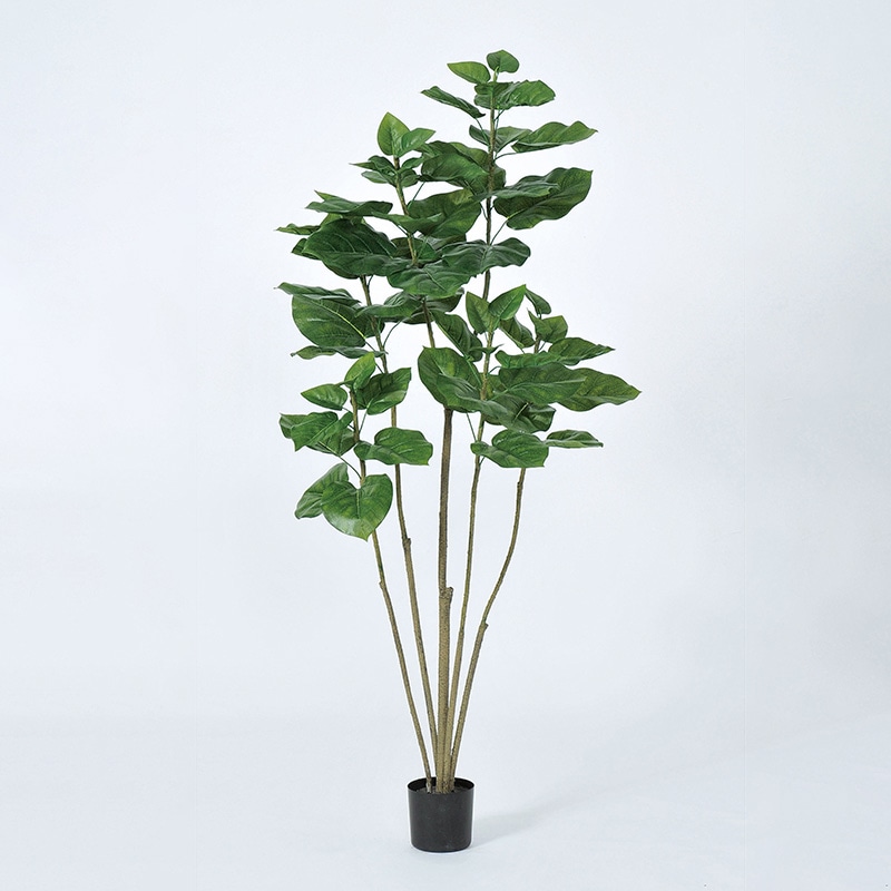 アスカ商会 造花・観葉植物 A-50936 ウンベラータ #051A グリ-ン ポット付 1本(ご注文単位1本)【直送品】