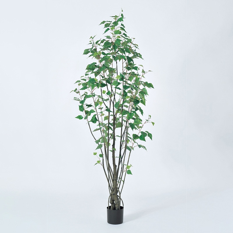 アスカ商会 造花・観葉植物 A-50939 バーチツリー #051A グリ-ン ポット付 1本(ご注文単位1本)【直送品】