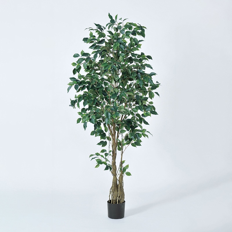 アスカ商会 造花・観葉植物 A-50940ファイカスツリー #051A グリ-ン ポット付 1本(ご注文単位1本)【直送品】