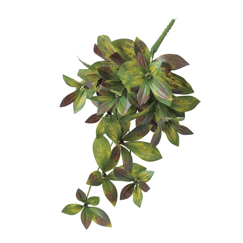 アスカ商会 造花・グリーン A-43222ピオニーリーフハンギングB #015G バ-ガンディグリ-ン 1本(ご注文単位1本)【直送品】