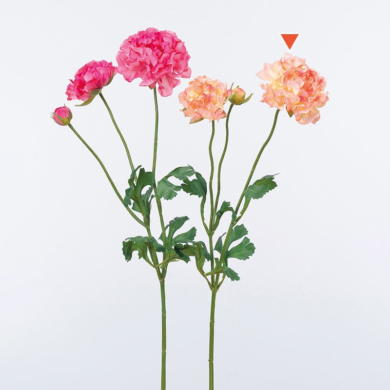 アスカ商会 造花 A-33706ラナンキュラス #014A　シュリンプ 1本（ご注文単位1本）【直送品】