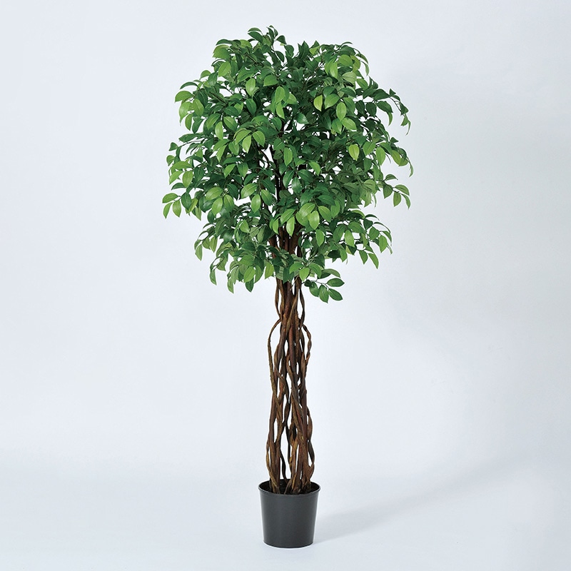 アスカ商会 造花・観葉植物 A-50952　サカキツリー #051A　グリ-ン　ポット付 1本（ご注文単位1本）【直送品】