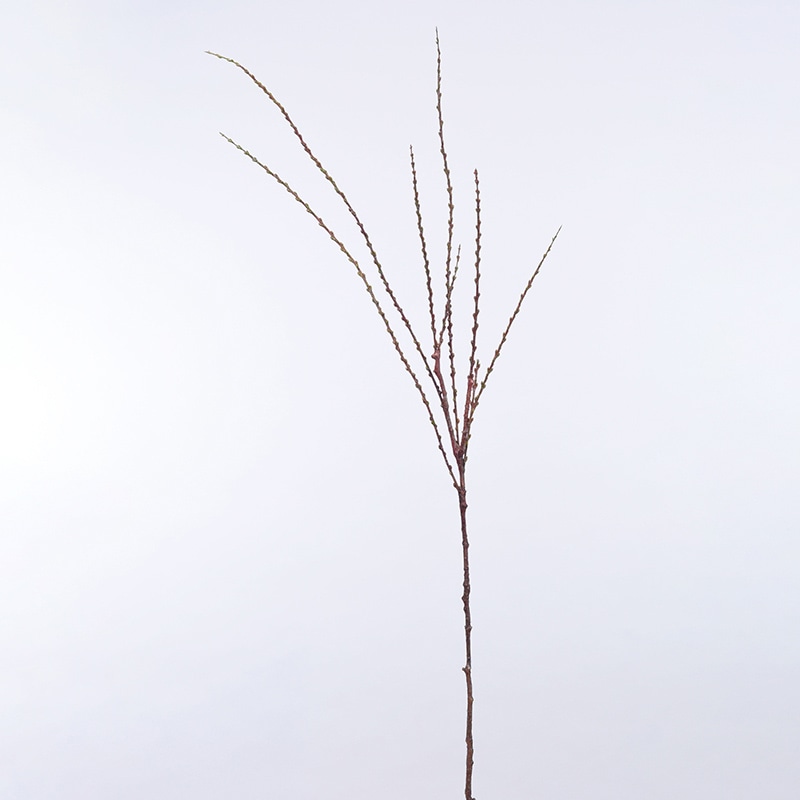 アスカ商会 造花・グリーン A-43281　パームベリースプレー #044　ナチュラル 1本（ご注文単位1本）【直送品】