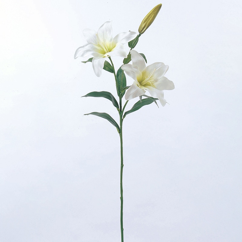 アスカ商会 造花 A-33749カサブランカ #011　クリ-ムホワイト 1本（ご注文単位1本）【直送品】