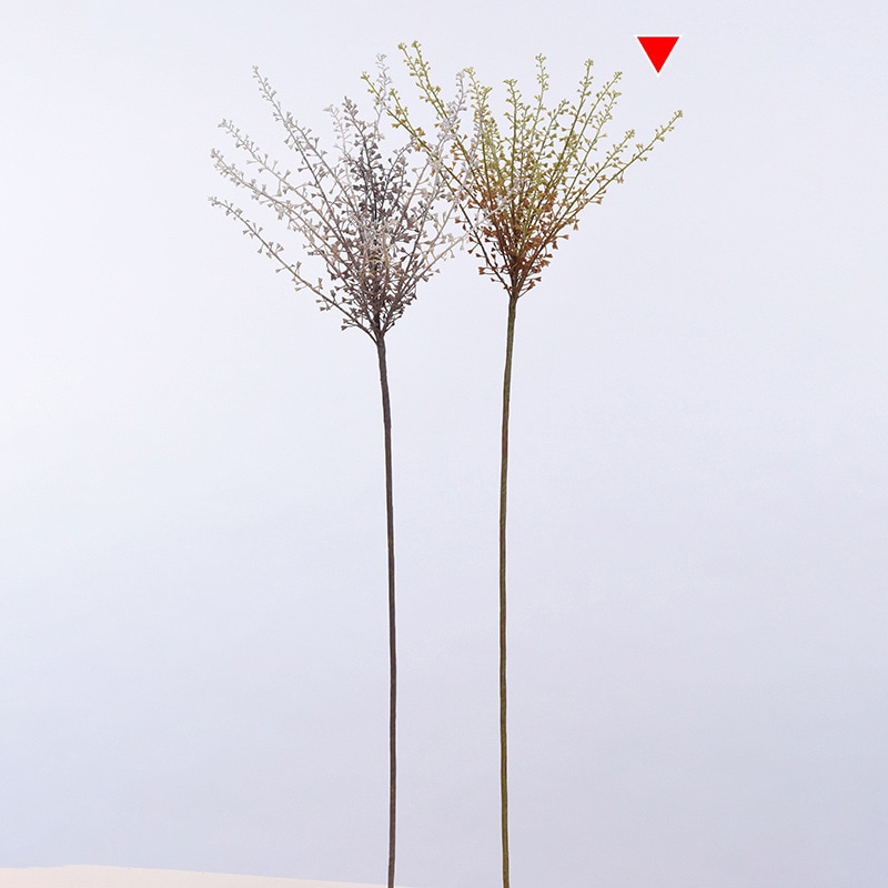 グリーンライトブラウン