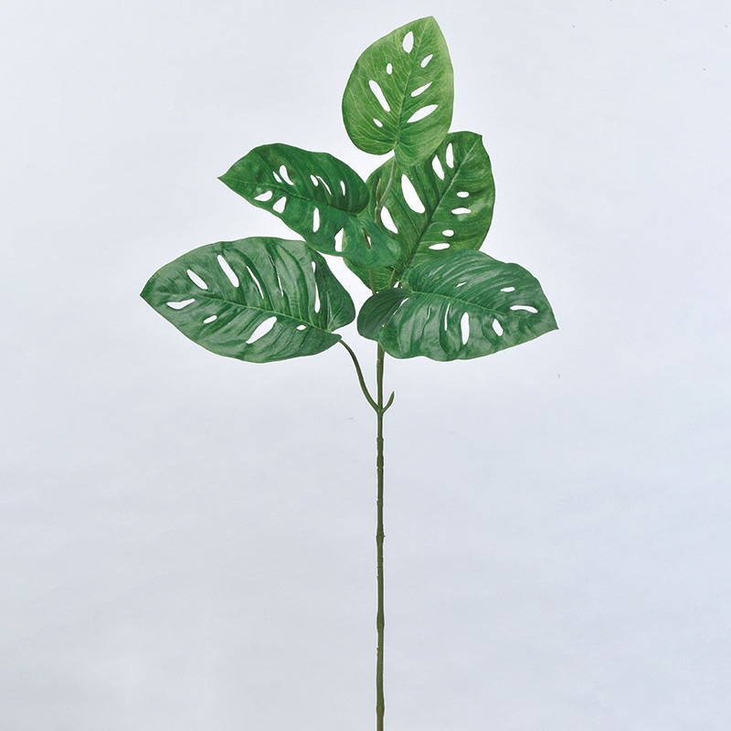 アスカ商会 造花・グリーン A-43356 モンステラ #051A グリ-ン 1本(ご注文単位1本)【直送品】