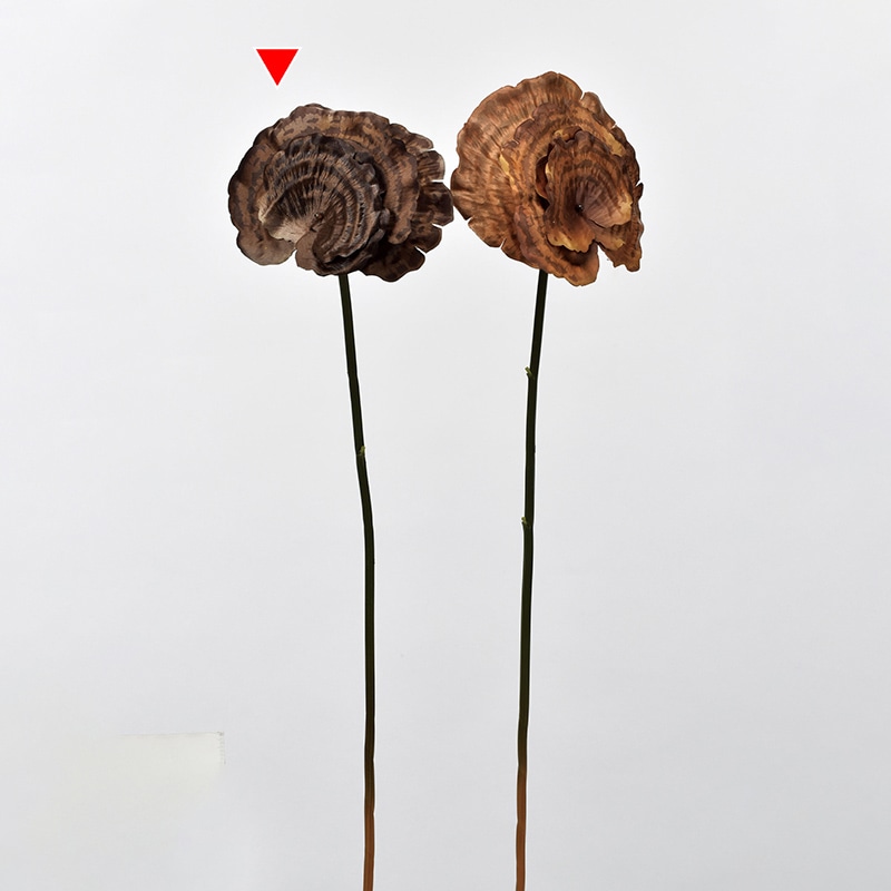 アスカ商会 造花・グリーン A-43443 サルノコシカケ #028 ブラウン 1本(ご注文単位1本)【直送品】