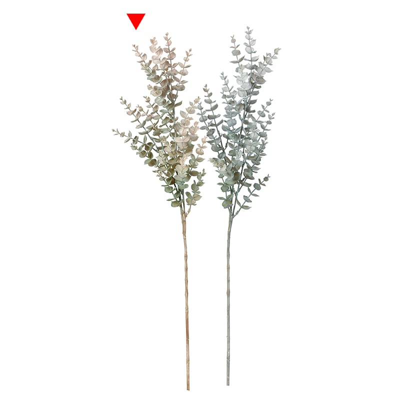 グリーンブラウン