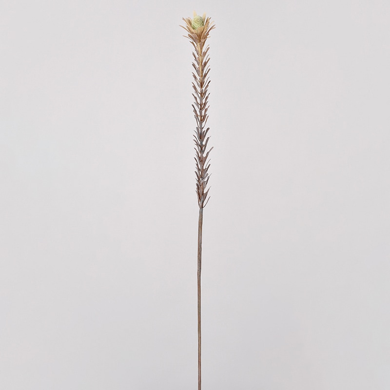 アスカ商会 造花・グリーン A-43590　リューカデンドロン #055G　モ-ブグリ-ン 1本（ご注文単位1本）【直送品】