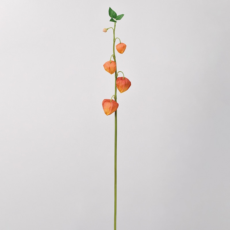 アスカ商会 造花 A-34083　ホオズキ #030　オレンジ 1本（ご注文単位1本）【直送品】