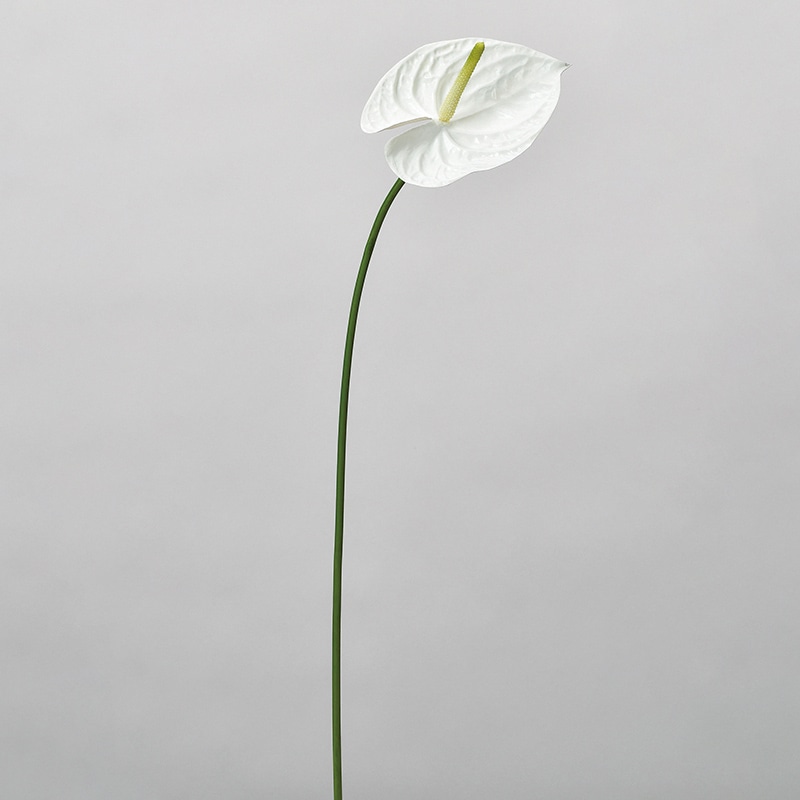 アスカ商会 造花 A-34077 アンスリウム #001 ホワイト 1本(ご注文単位1本)【直送品】
