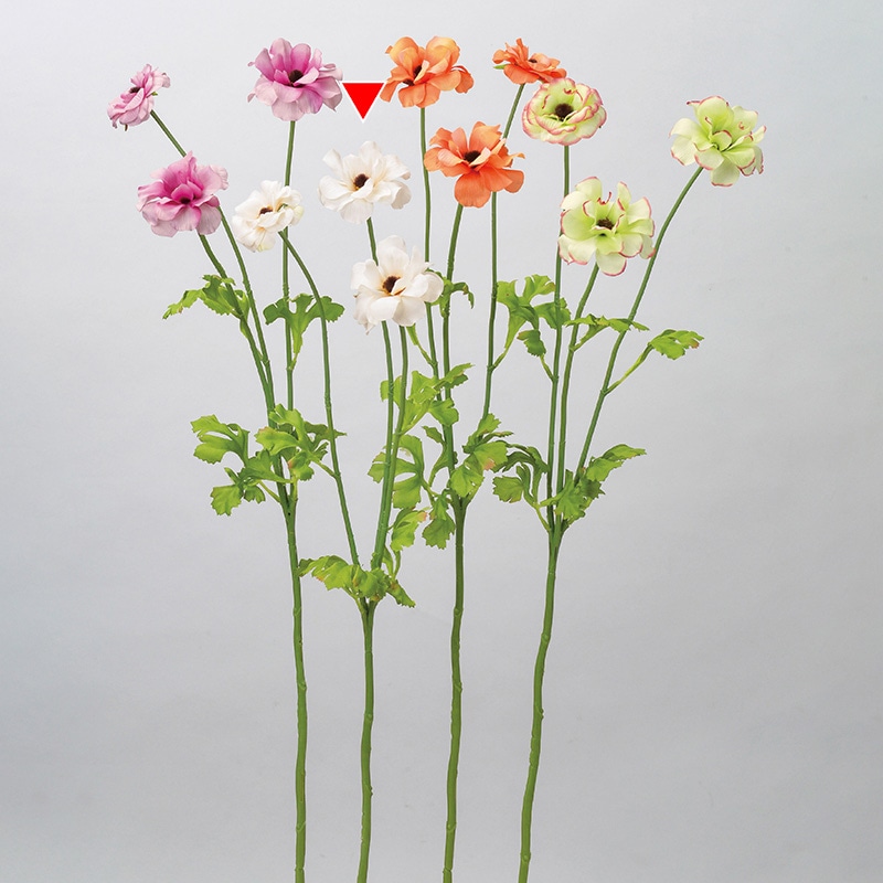 アスカ商会 造花 A-34152　ラナンキュラス×3 #011　クリ-ムホワイト 1本（ご注文単位1本）【直送品】