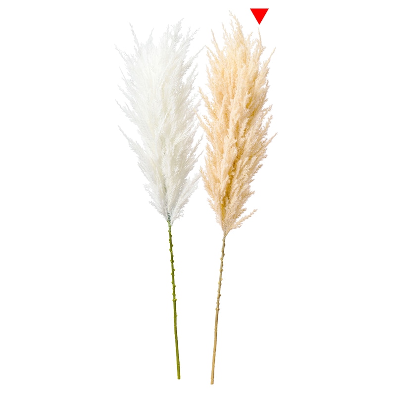 アスカ商会 造花・グリーン A-43652　パンパス #008　ベ-ジュ 1本（ご注文単位1本）【直送品】