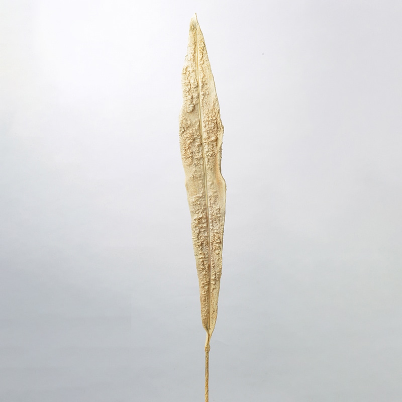 アスカ商会 造花・グリーン A-43734　オオタニワタリ #008　ベ-ジュ 1本（ご注文単位1本）【直送品】