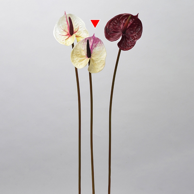 クリームバイオレット