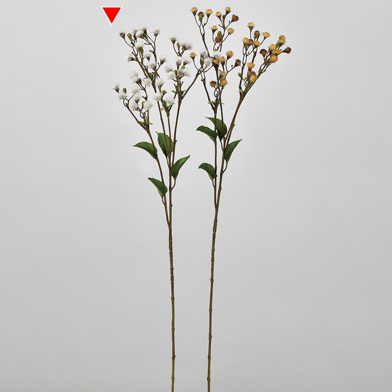 アスカ商会 造花 A-34227 ダンデリオン×36 #011 クリ-ムホワイト 1本(ご注文単位1本)【直送品】