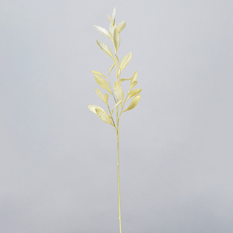 クリームホワイト